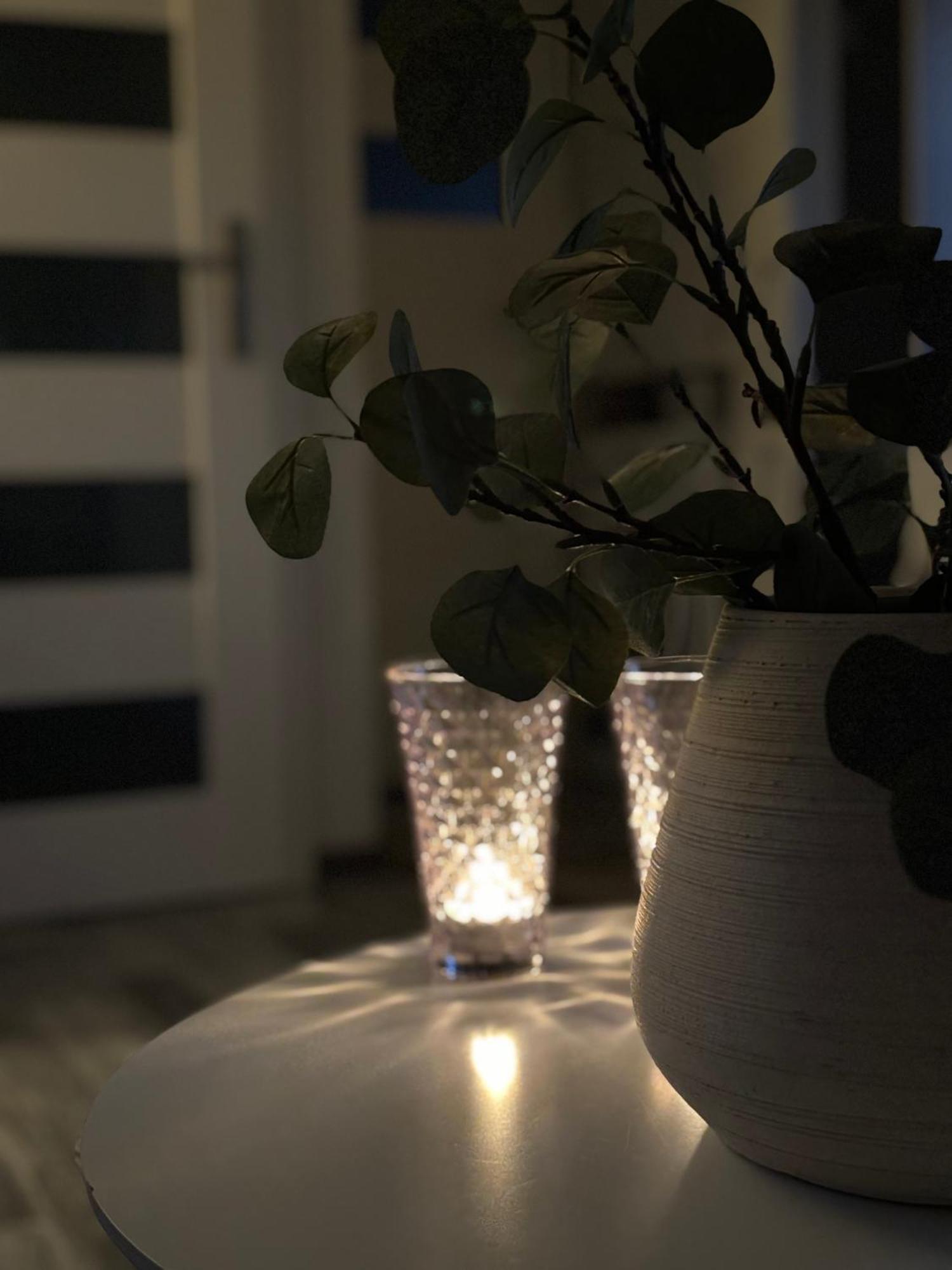 Thelittlehouse-By-The-Lake Hørsholm エクステリア 写真